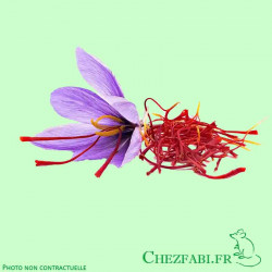 Pistils Safran (Bocal)