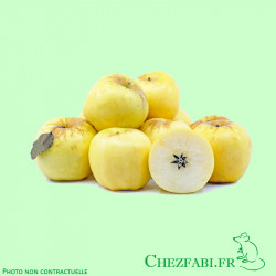 Pomme Golden (3u 450g)