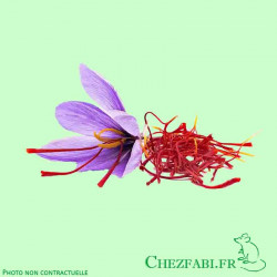 Pistils Safran (Bocal)