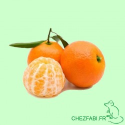 Mandarine (portion 1kg)